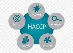 HACCP Food Safety Certification
