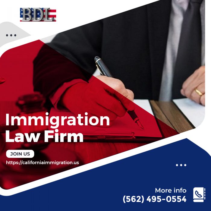 Best immigration law firms at Brian D Lerner