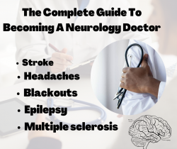 Importance Of Neurology Consultants