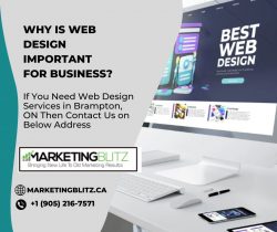 Why is Web Design Important for Business?
