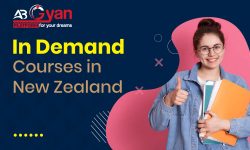 5 Most In-Demand Courses in New Zealand