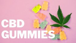 CBD Gummies Reviews – Make Your Life Healthier