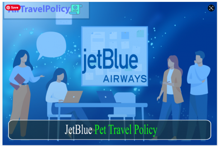 Jetblue Pet Travel My Policy