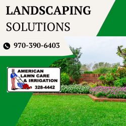 Leading Landscape Services in Vail