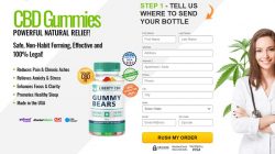 Succeed With LIBERTY CBD GUMMIES REVIEWS In 24 Hours