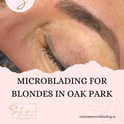 Microblading For Blondes in Oak Park