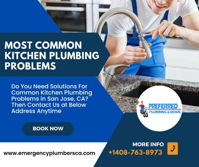 What are the Most Common Kitchen Plumbing Issues?