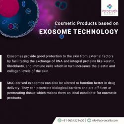 Cosmetic Products based on Exosome Technology﻿
