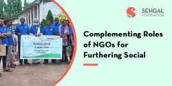Complementing Roles of NGOs for Furthering Social Good