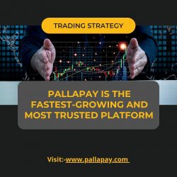 Pallapay Helps You to Sell Bitcoin in Dubai