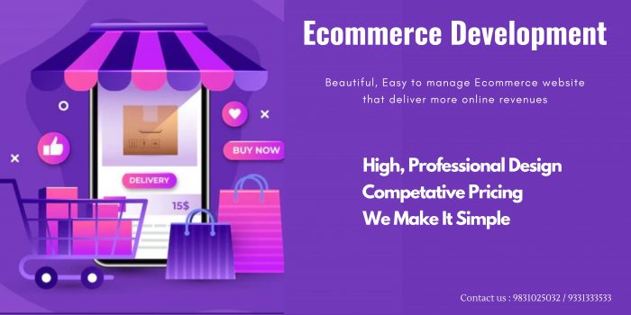 Professional Ecommerce Development