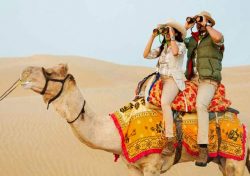 Rajasthan Tour Packages from Delhi – Swan Tours