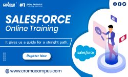 Which Salesforce Certification is Best for a Business analyst?