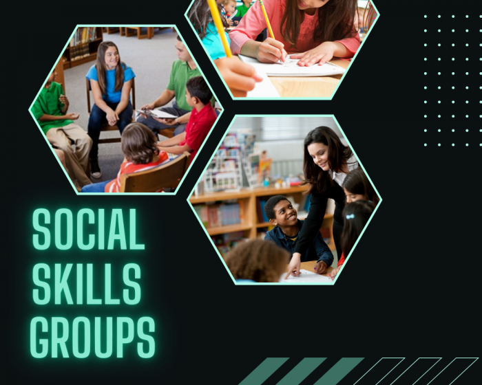 Role Of A social skills group
