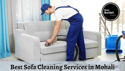 Best Sofa Cleaning Services in Mohali