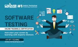Software Testing Online Training in Dubai