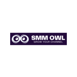 SMM Owl Provide YouTube Channel Monetization Services