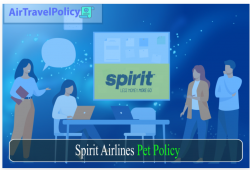 Spirit Airlines Pet Travel My Policy