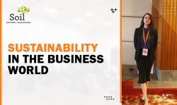 SUSTAINABILITY IN THE BUSINESS WORLD