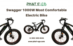 Swagger 1000W Most Comfortable Electric Bike | Phat-eGo