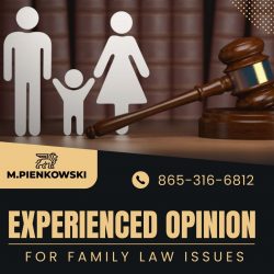 The Best Option for Family Law Problems