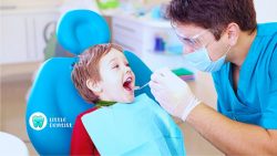 TheLittleDentist For Best Pediatric Dentist in Delhi