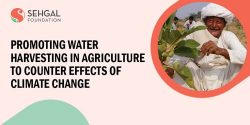 Promoting Water Harvesting in agriculture to counter effects of climate change