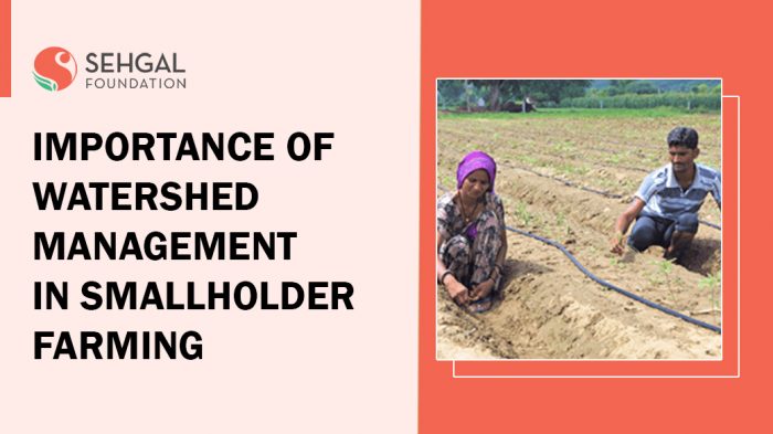 Importance Of Watershed Management In Smallholder Farming