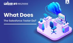 What Does The Salesforce Tester Do?