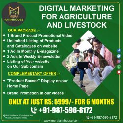 Are you looking to grow your Agriculture or Livestock Business online?
