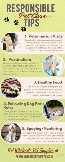 Wholesale Pet Supplies – Responsible Pet Care Tips