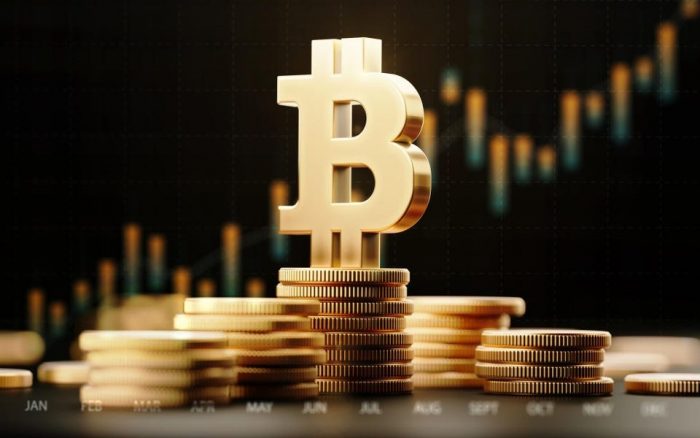 Bitcoin Profitto – Bitcoin Profit