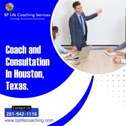 Professional Coaching and Management Training