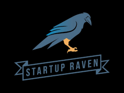 Startup Raven