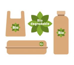 All You Need to Know About Green Packaging