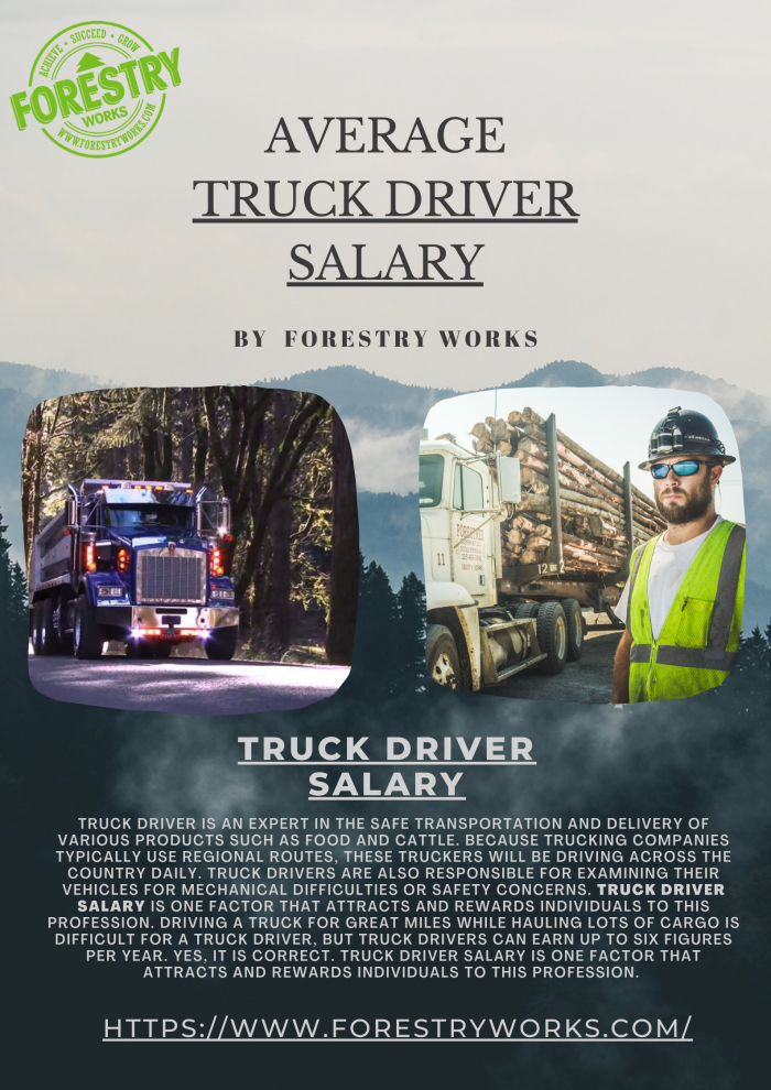 Average Truck Driver Salary | Forestry Works