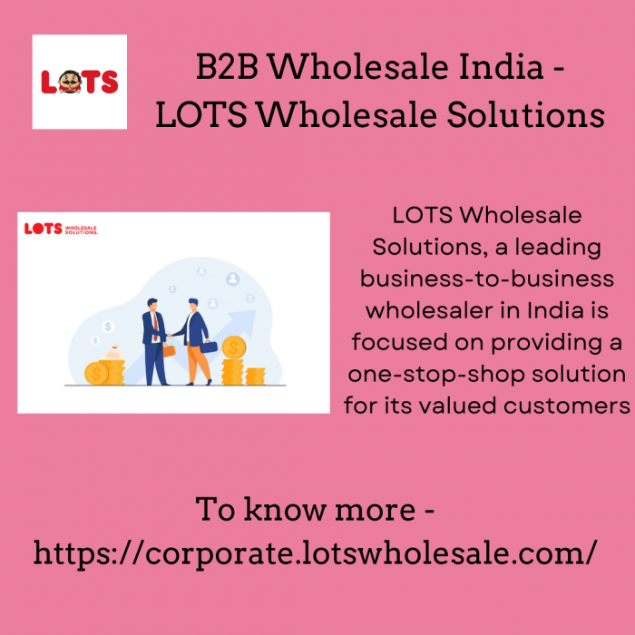 B2B Wholesale India- LOTS Wholesale Solutions