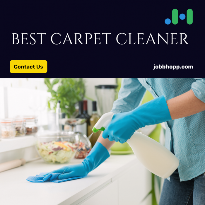Best Carpet Cleaning Services – JobbHopp