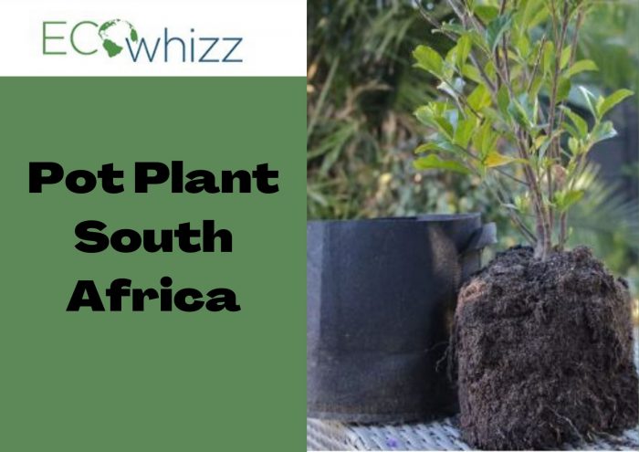 Best Grow bags Services In cape town! Eco Whizz Ltd
