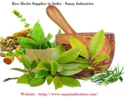 Herbs Supplier in India | Sanay Industries