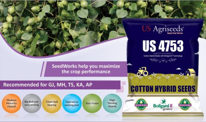Cotton Seeds Company – Seedworks.com