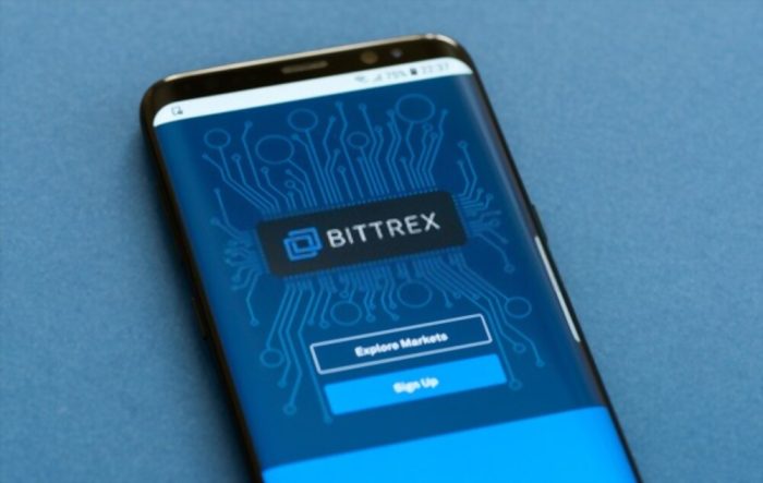 What are the Benefits and Drawbacks of the Bittrex Platform?