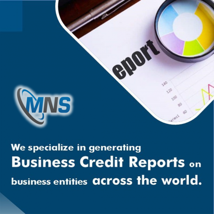 Company Credit Report