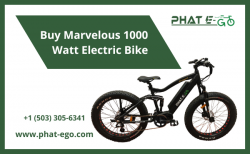Buy Marvelous 1000 Watt Electric Bike (Portland) | Phat-eGo