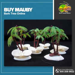 Buy Mauby Bark Tree Online