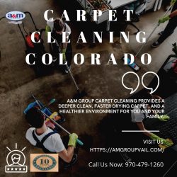 Extend The Durability Of Your Carpet With Carpet Cleaning Colorado