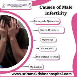 Causes of Male Infertility – Sri Ramakrishna Hospital