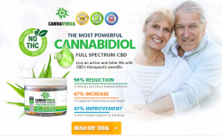 Cannaverda CBD Gummies – Uses, Benefits, Side Effects, And More!