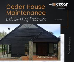 Cedar shingles restoration helps you maintain the integrity of the product