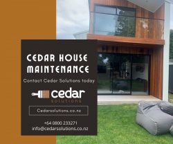 Are you looking for reliable and highly affordable Cedar painting services in Auckland